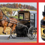 amish oil change