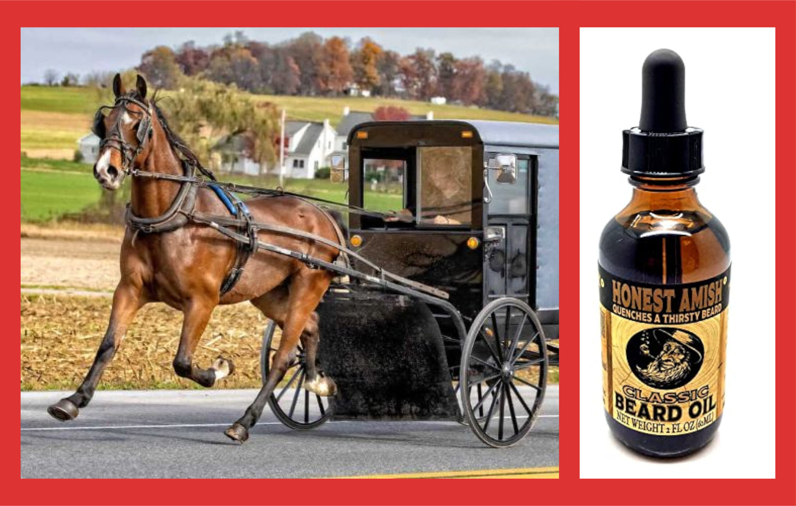 amish oil change