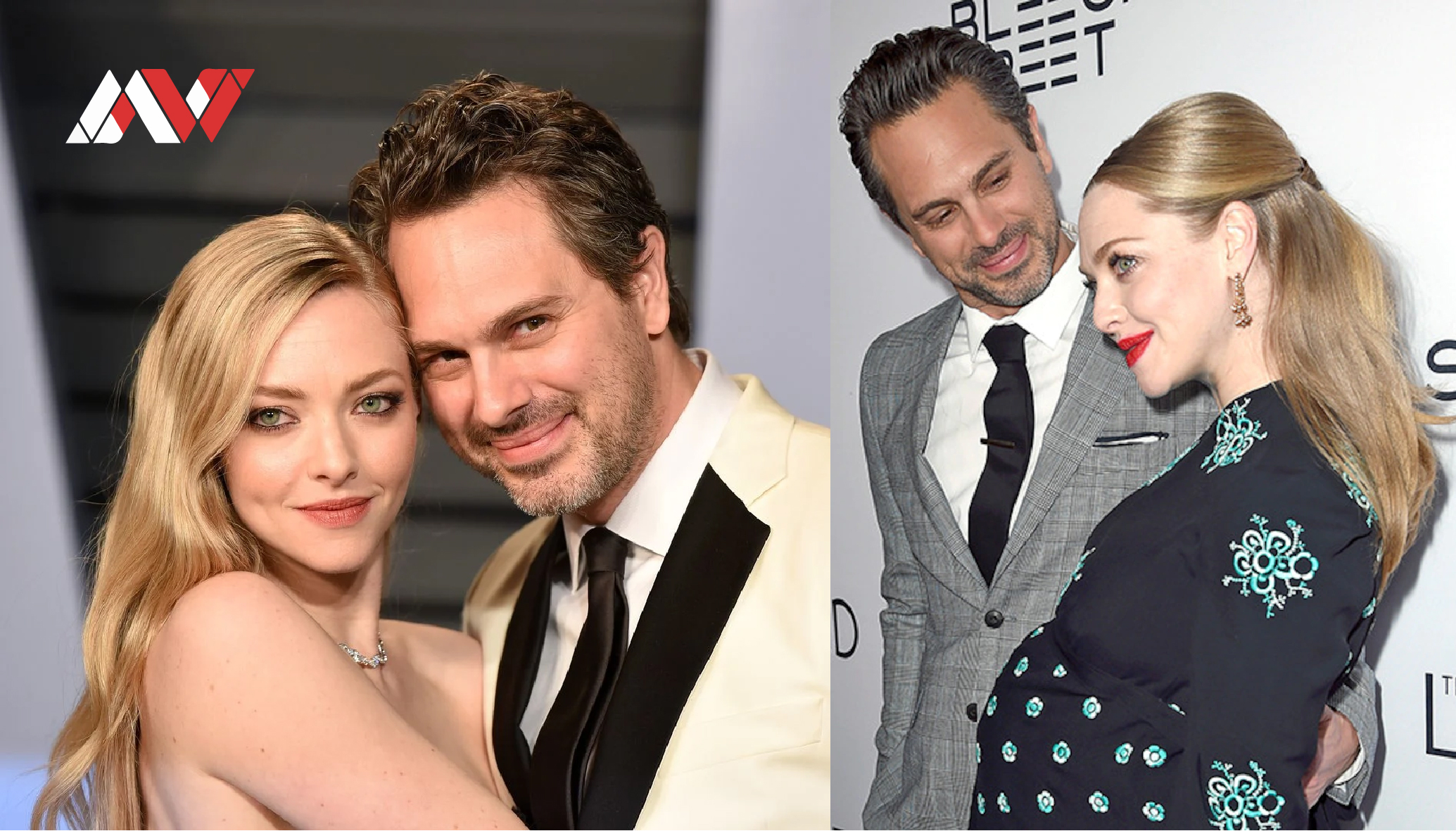 amanda seyfried husband