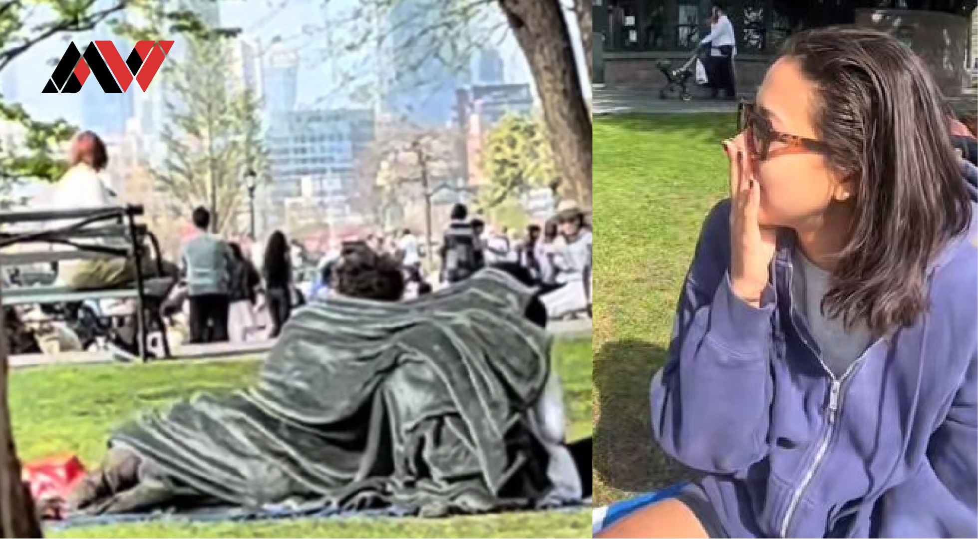 The Mysterious Incident of a Couple Under a Blanket in NYC Park: A Tale of Intrigue and Unexpected Events