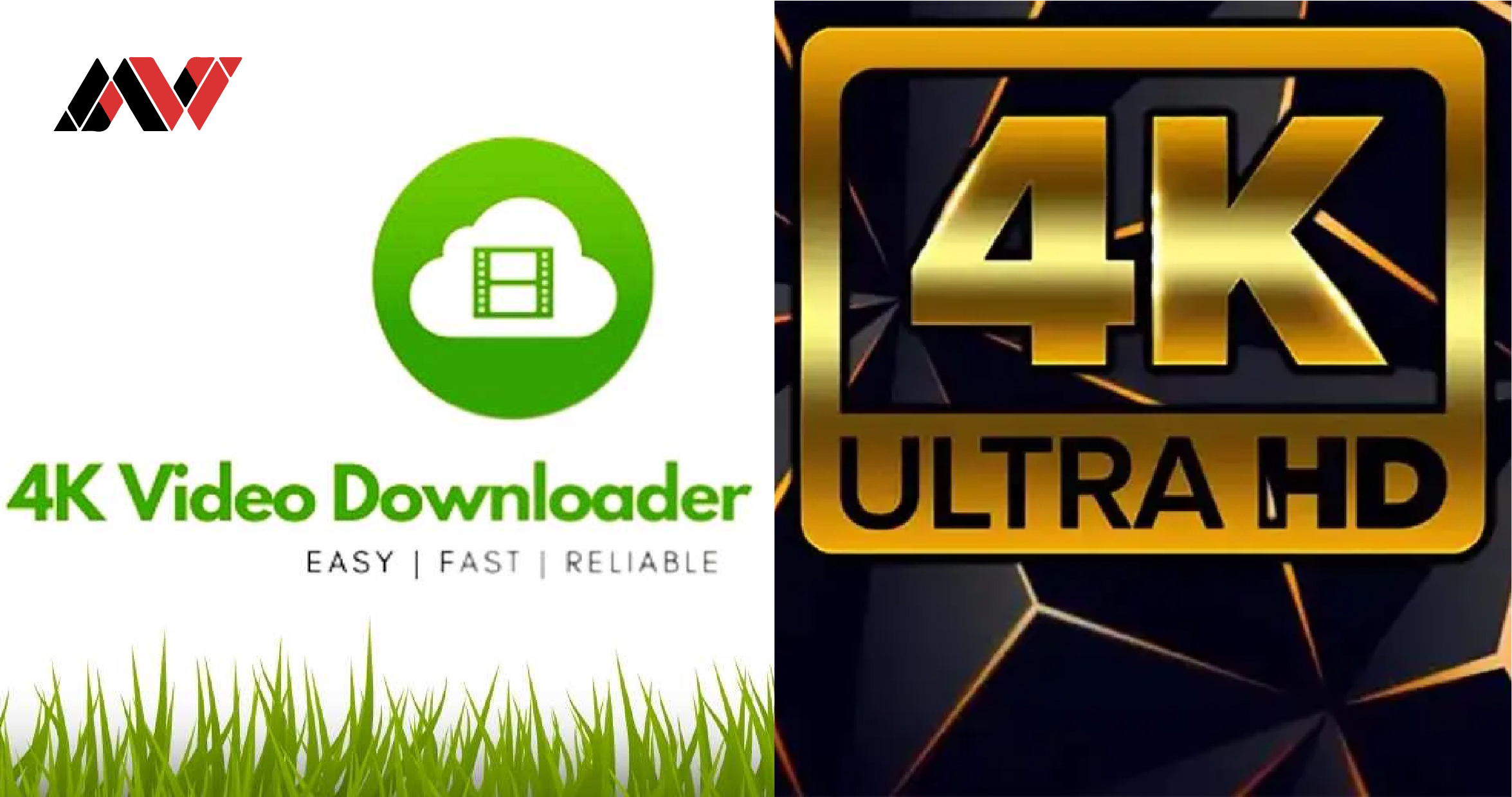 Is 4K Video Downloader Safe? A Comprehensive Guide to Its Safety and Usage