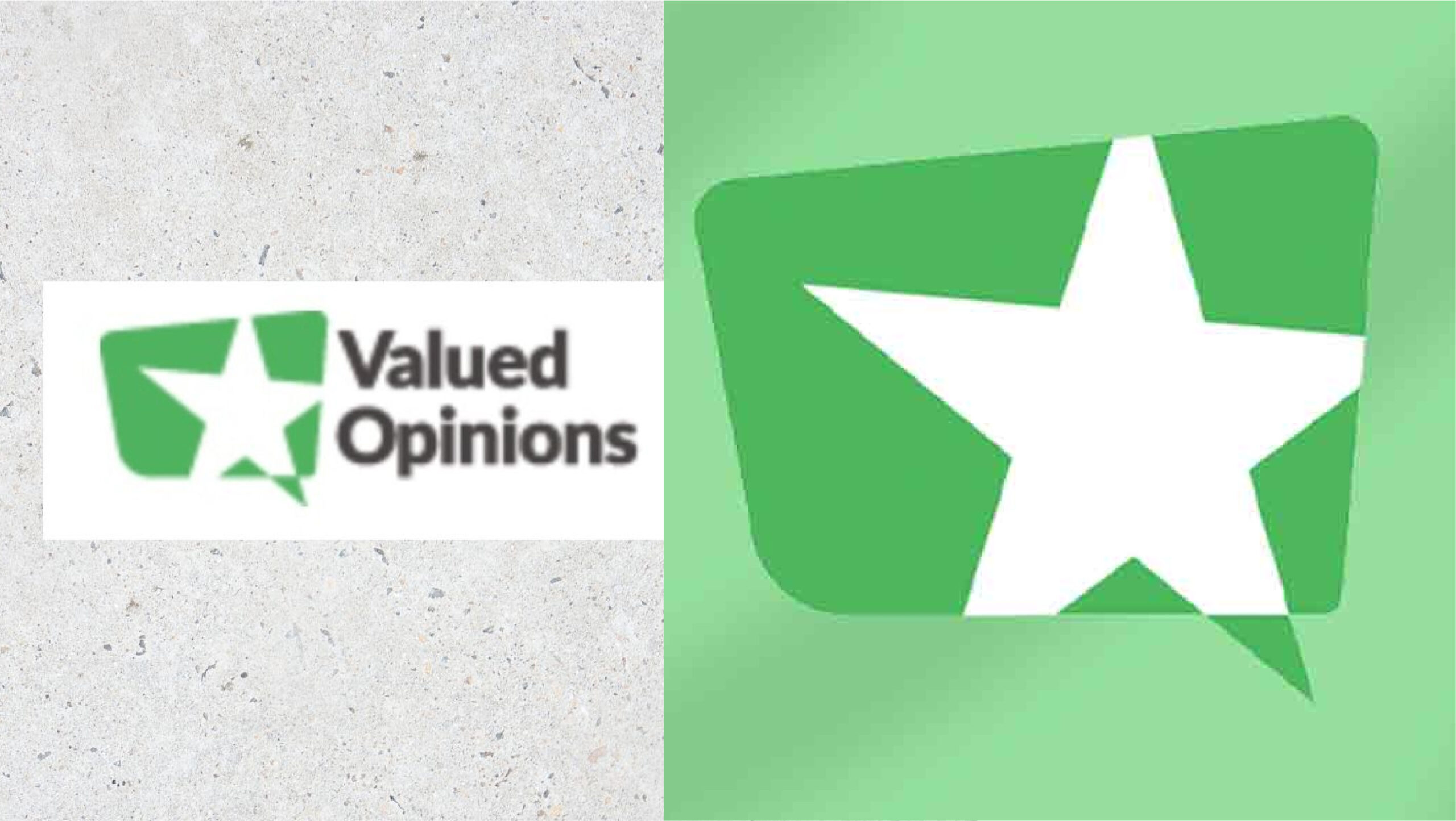 Valued Opinions: A Comprehensive Review and Guide to Earning Money from Surveys in 2024